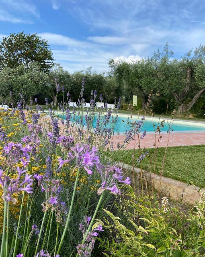Glamping Suite Il Grillo Lamporecchio Esterno foto